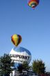 101MSD-DSC00668_DSC00668 